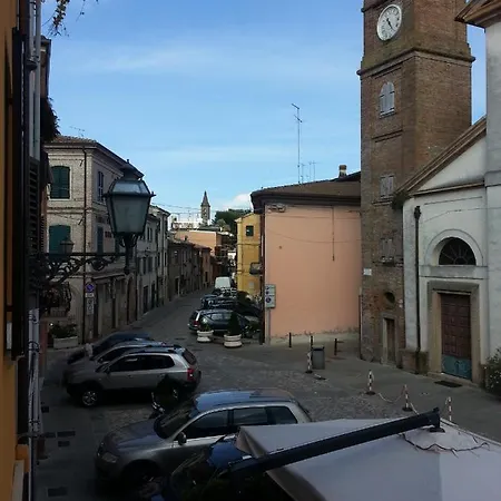 Cappone A.t. * Morciano di Romagna